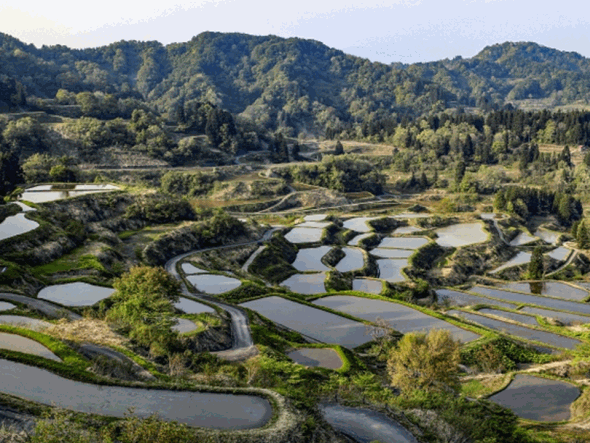 農政農地管理系システム